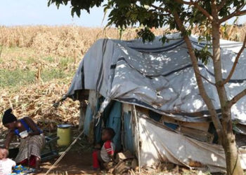 Over 10,000 Bungoma County PEV victims to protest if not resettled