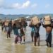Gambia moves to ICJ to stop Rohingya genocide