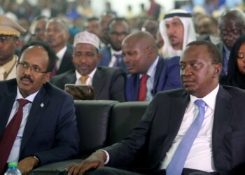 Somalia's President Mohamed Abdullahi Farmaajo and Kenya's President Uhuru Kenyatta listen to speeches during Farmaajo's inauguration ceremony in Somalia's capital Mogadishu [Feisal Omar/Reuters]