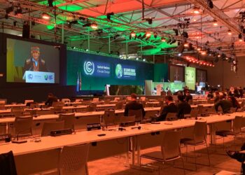 Empty seats in one of the two big plenary halls (accessible only via limited badges and special tickets for NGO observers) on Day 2. (Credit: Shirleen Chin)