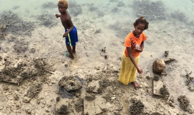 The architecture of accountability: New UN resolution could signal end to climate ambiguity