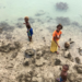 The architecture of accountability: New UN resolution could signal end to climate ambiguity